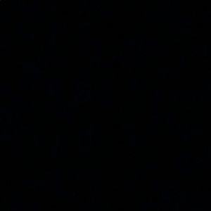 Meet your Posher, Chaya